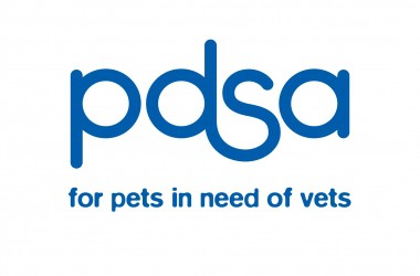 PDSA budgies