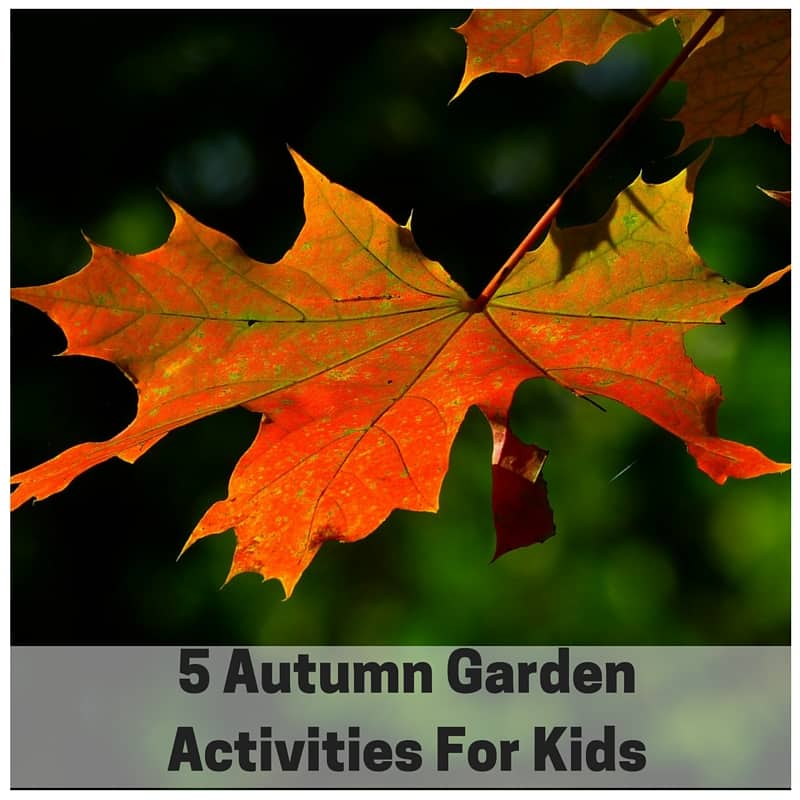 5 autumn activities for kids