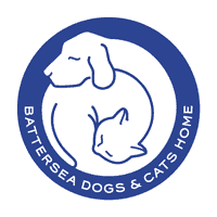 Battersea cat rescue