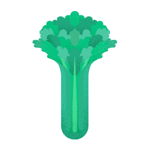 Celery