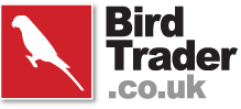 Bird Trader