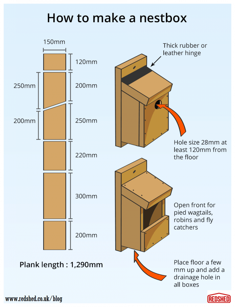 Parakeet Nesting Box Plans | DIY Woodworking